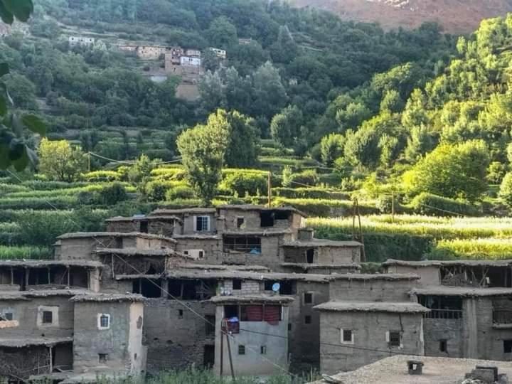 Escale Rando Taliouine Hotel Luaran gambar